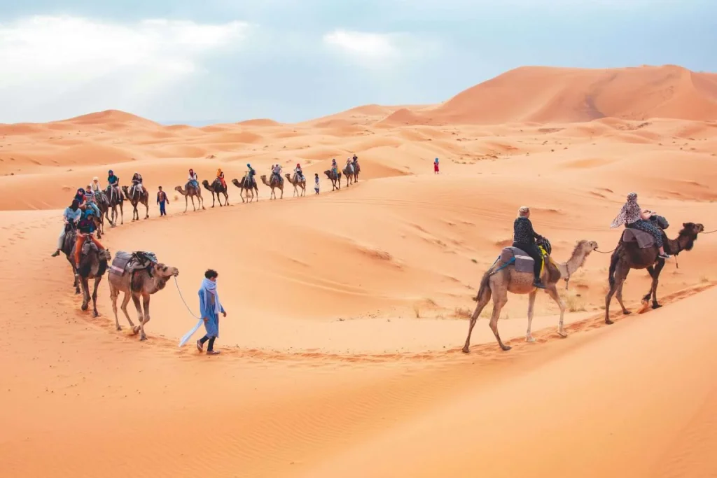 Saharaï Morocco Tours image